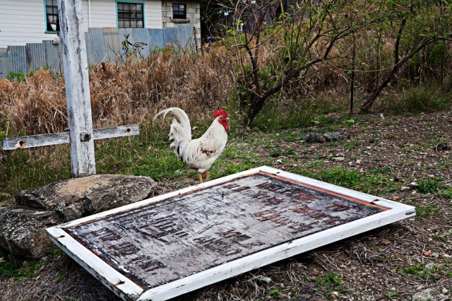 Winner, winner, chicken dinner!