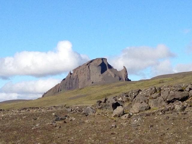 Mike was convinced a rhino was stalking us all day