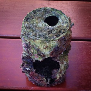 This is what happens to an aluminum can thrown into the sea.